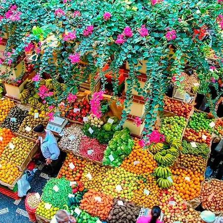 Center I * فونشال