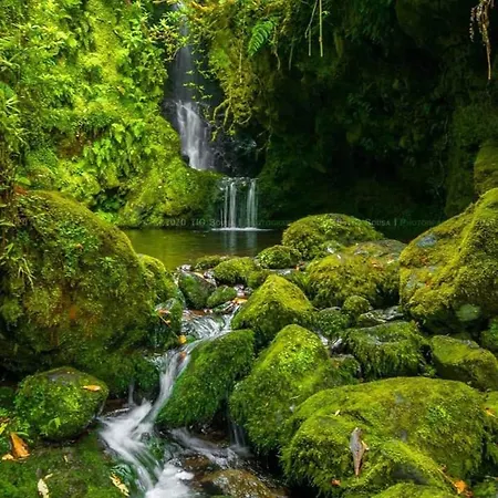 דירה Center I פונשל