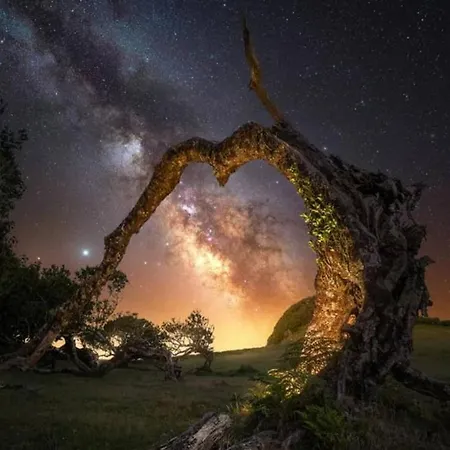 Center I Апартаменты