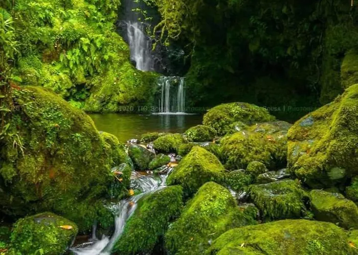 Apartment Center I Funchal (Madeira)