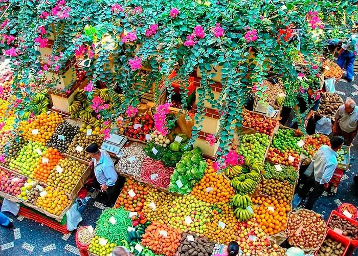 Center I * Funchal (Madeira)