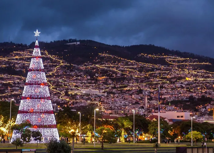Center I * Funchal (Madeira)